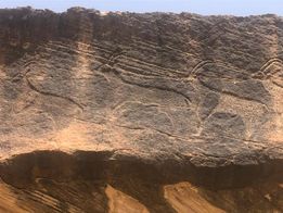 نقش جديد: - صورة إضافية 1